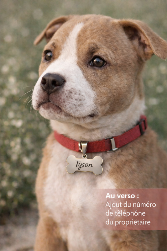 🐾 Médaille Chien Personnalisée en Forme d’Os – Gravure Prénom & Téléphone – Acier Inoxydable Résistant